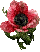 •